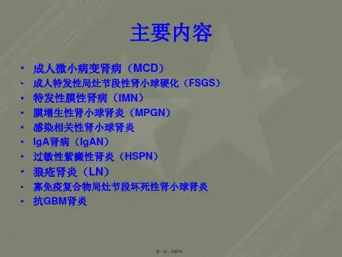 KDIGO-肾小球肾炎-各型指南