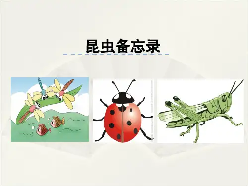 人教版(部编版)小学语文三年级下册第一单元4    昆虫备忘录