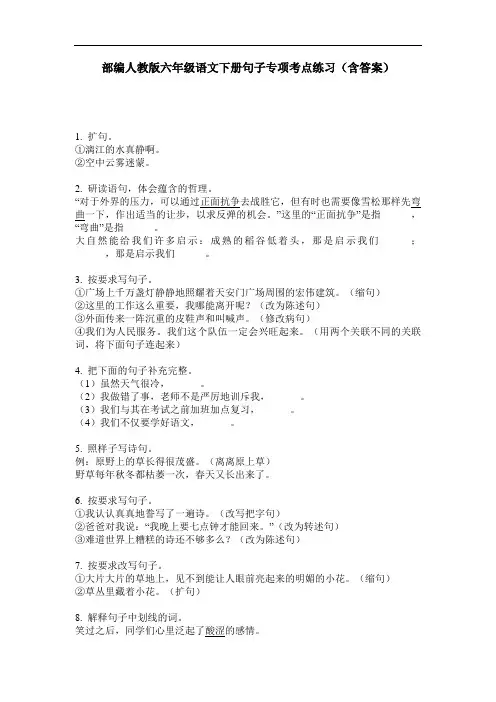 部编人教版六年级语文下册句子专项考点练习(含答案)