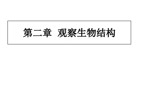 七年级上册第二章观察生物结构复习课件22张ppt