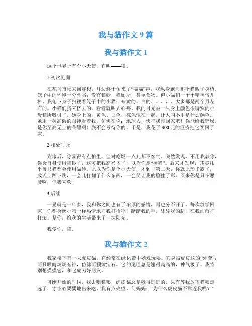 我与猫作文9篇