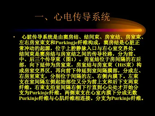 正常心电图与常见心律失常心电图对比学习