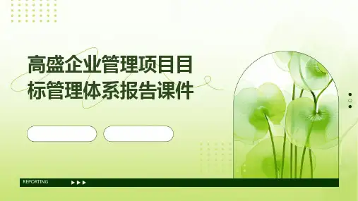 高盛企业管理项目目标管理体系报告课件