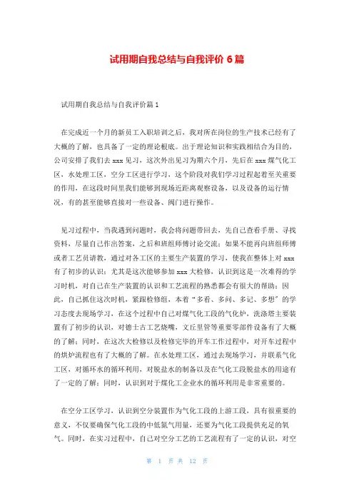 试用期自我总结与自我评价6篇