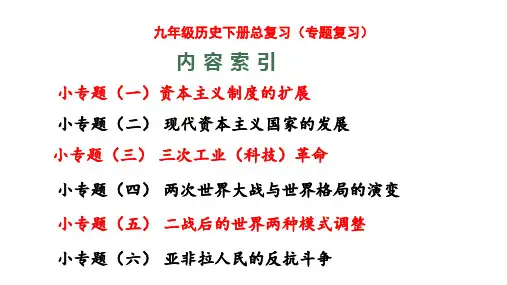 2024(人教版)历史九年级下册全册总复习课件(6个专题单元总结 共2课时