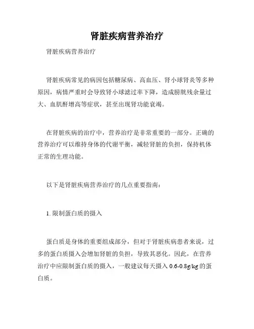 肾脏疾病营养治疗 