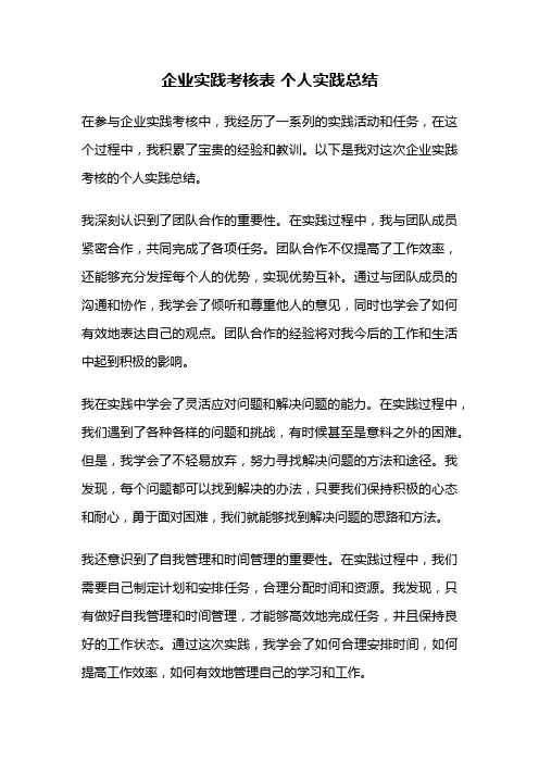 企业实践考核表 个人实践总结