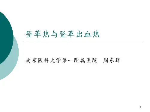 登革热与登革出血热改版后ppt课件