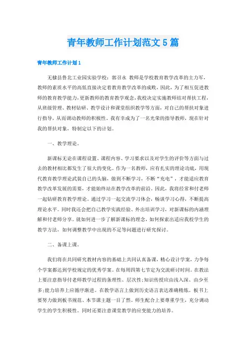 青年教师工作计划范文5篇