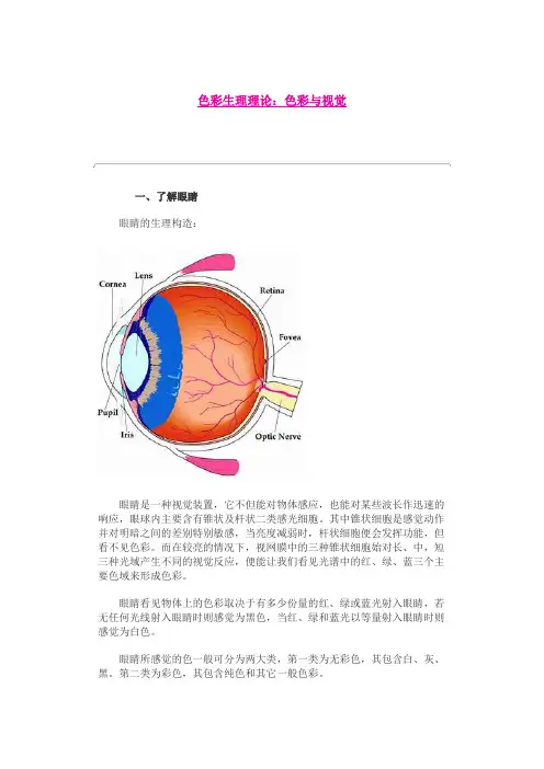 色彩生理理论：色彩与视觉