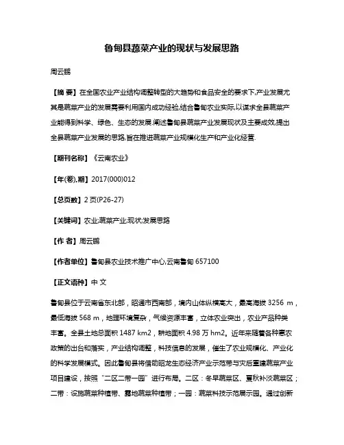 鲁甸县蔬菜产业的现状与发展思路