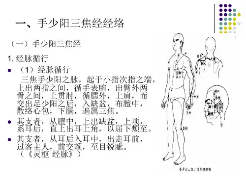 经络学-手少阳三焦经