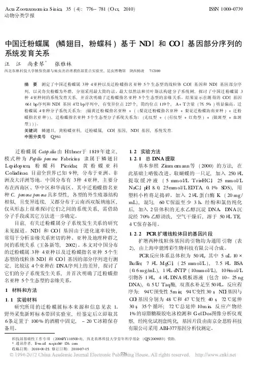 中国迁粉蝶属_鳞翅目_粉蝶科_基于ND_和CO_基因部分序列的系统发育关系