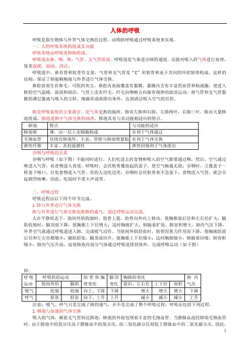 中考生物专题复习(知识点梳理)人体的呼吸知识点总结新人教版