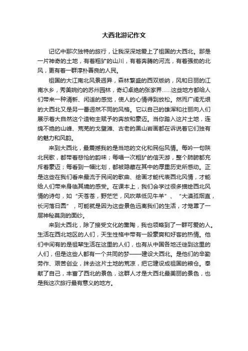 大西北游记作文
