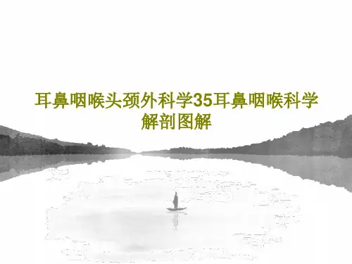 耳鼻咽喉头颈外科学35耳鼻咽喉科学解剖图解67页PPT