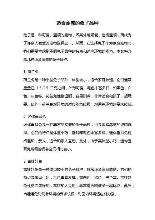 适合家养的兔子品种