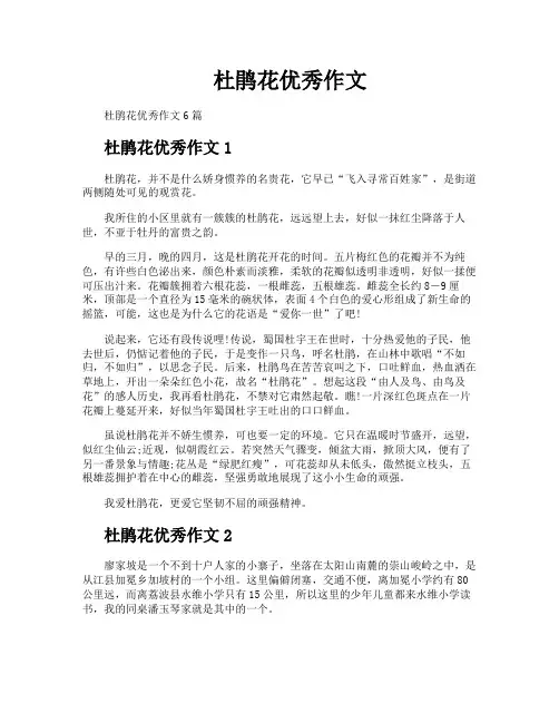 杜鹃花优秀作文