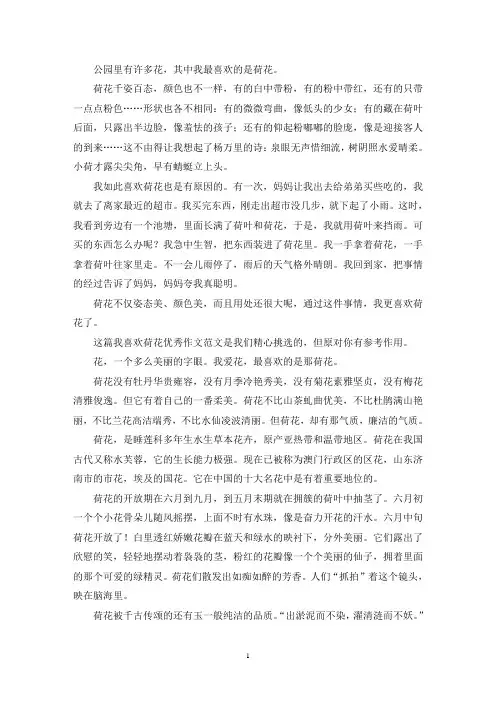 我喜欢荷花优秀作文(推荐3篇)(最新)