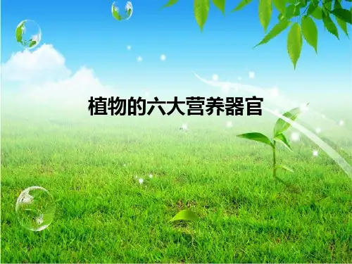 植物的六大营养器官