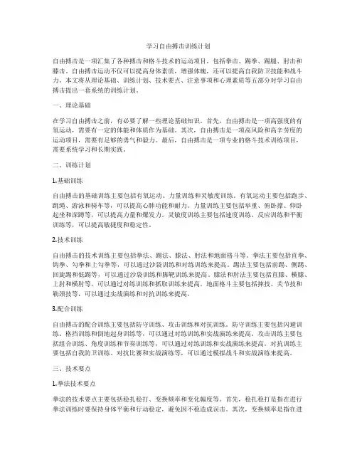 学习自由搏击训练计划