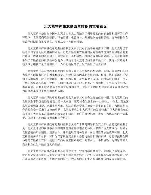 北大荒精神在农垦改革时期的重要意义