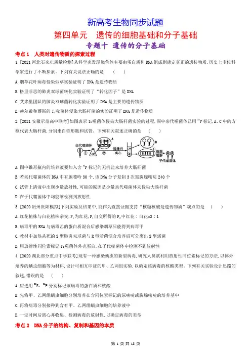 新高考生物同步试题：10  遗传的分子基础