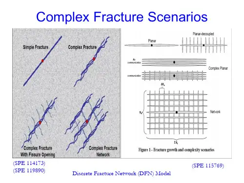 离散裂缝模型 国外英文课件  Discrete_Fracture_Network_(DFN)-1