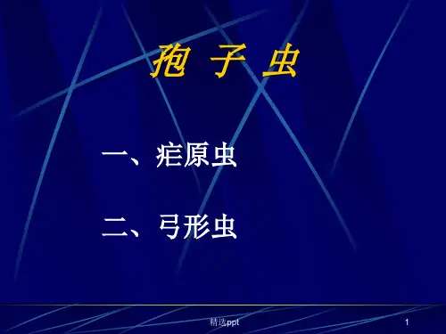 《疟原虫和弓形虫》PPT课件