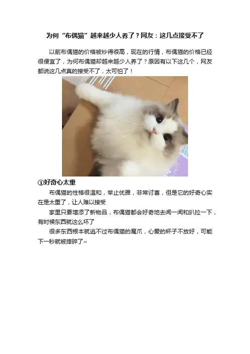 为何“布偶猫”越来越少人养了？网友：这几点接受不了