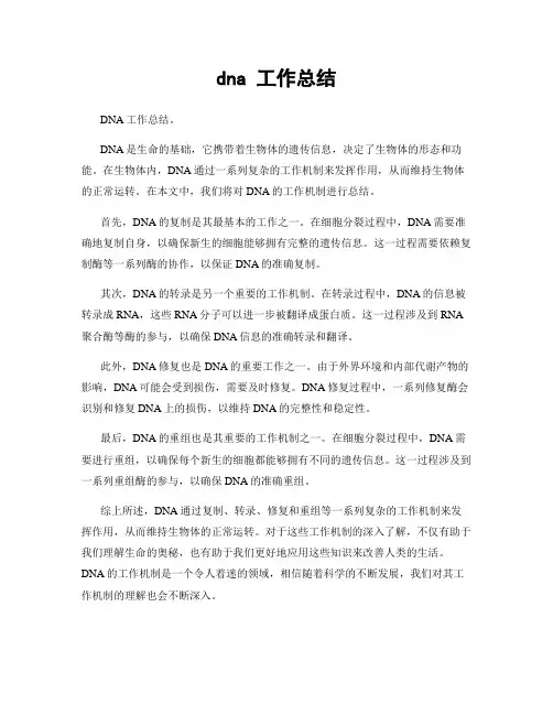 dna 工作总结