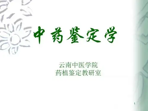 中药鉴定学PPT课件