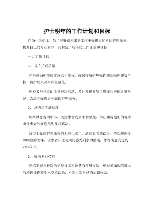护士明年的工作计划和目标