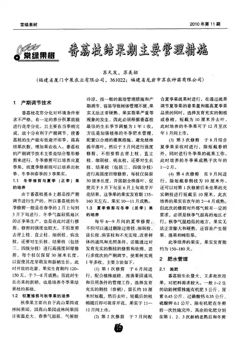 番荔枝结果期主要管理措施