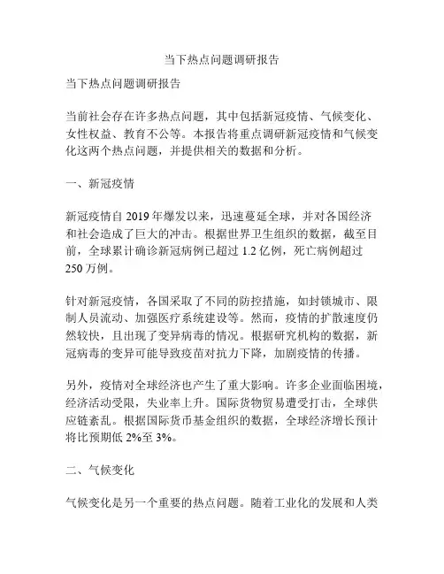 当下热点问题调研报告