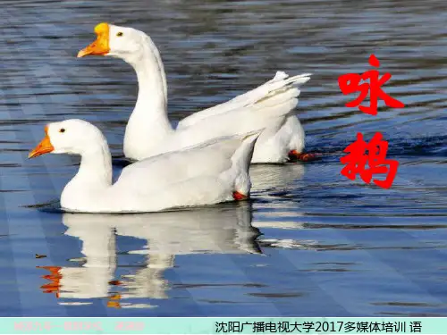 《咏鹅》PPT课件