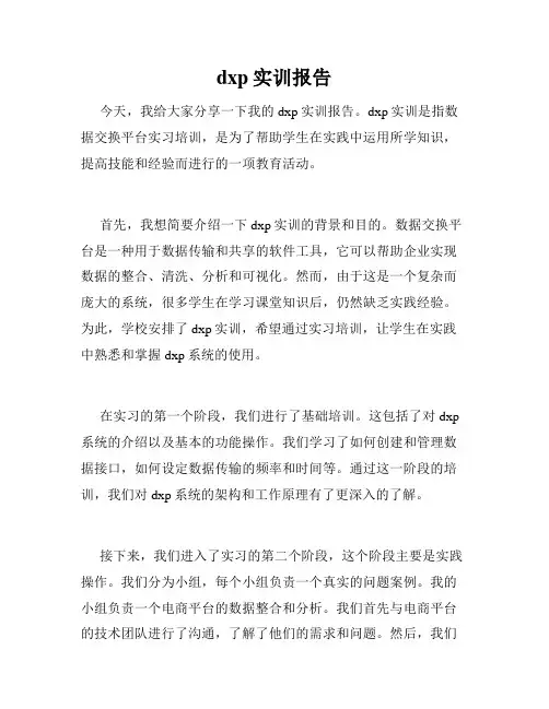 dxp实训报告