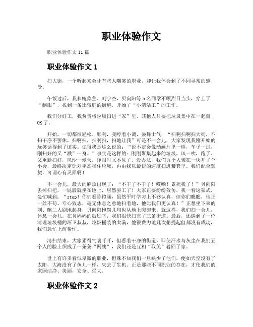 职业体验作文