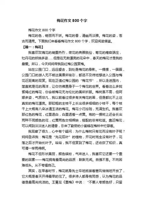 梅花作文800个字