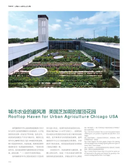 城市农业的避风港美国芝加哥的屋顶花园