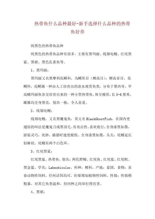 热带鱼什么品种最好-新手选择什么品种的热带鱼好养