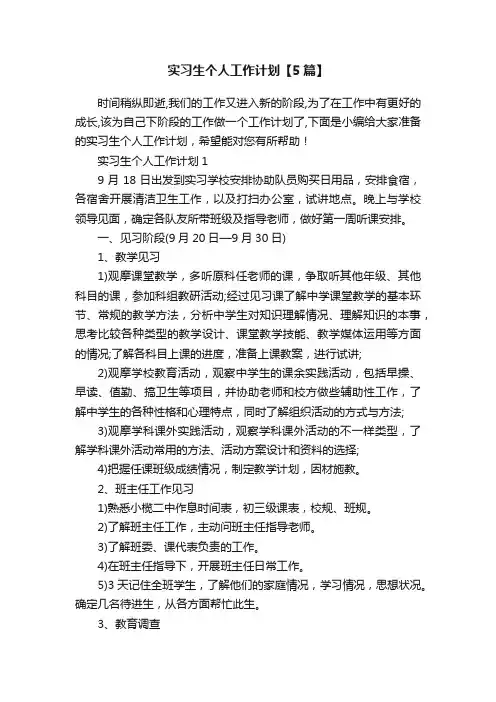 实习生个人工作计划【5篇】