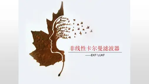 非线性卡尔曼滤波器