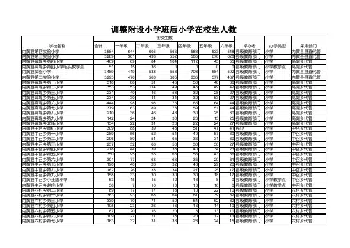 (基层报表)内黄县中小学在校生情况表基层报表统计