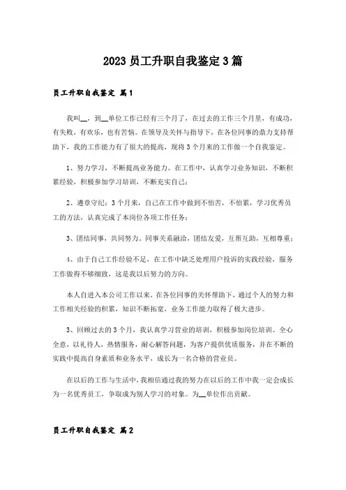 2023员工升职自我鉴定3篇_1