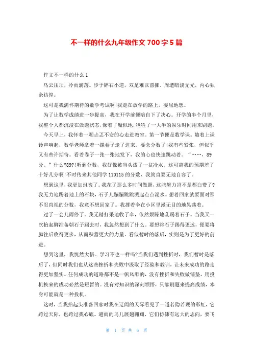 不一样的什么九年级作文700字5篇