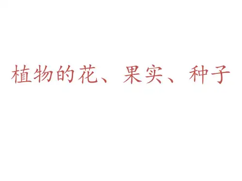 植物的花果实种子