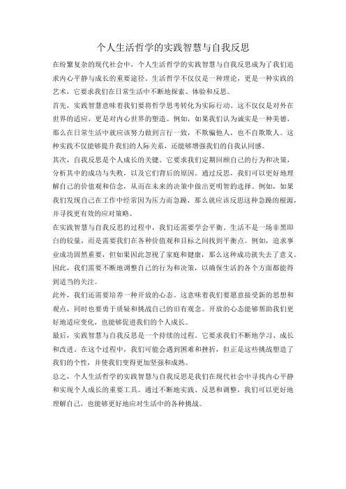 个人生活哲学的实践智慧与自我反思