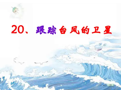 三年级下册语文《20 跟踪台风的卫星》(6) 苏教版