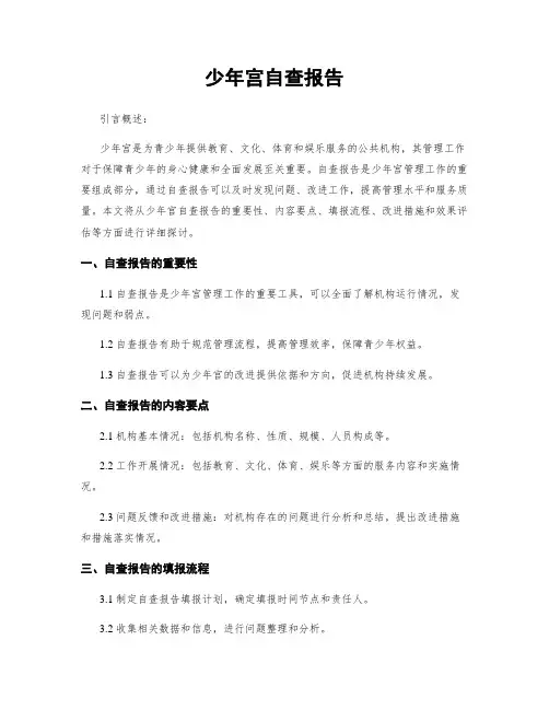少年宫自查报告 (2)